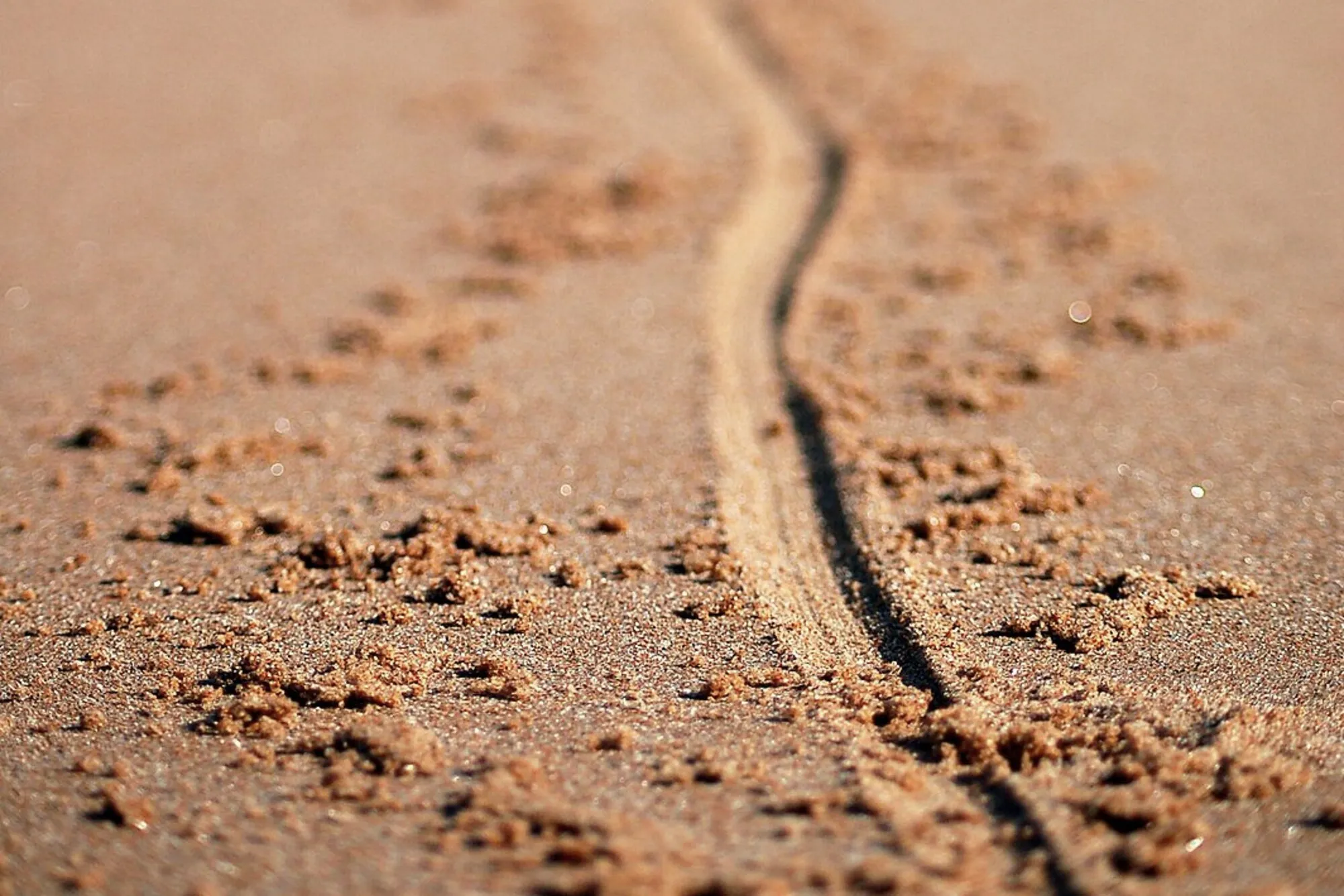 A curving line drawn into sand, with displaced grains piled alongside