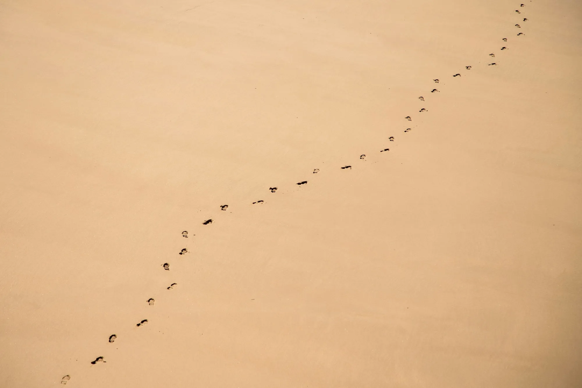 Aerial view of a long, gently curving trail of footprints across an empty stretch of sand